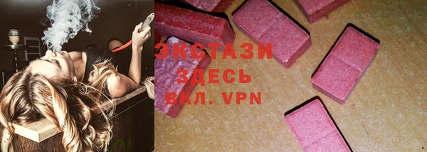 гашик Новозыбков