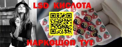 гидропоника Волгодонск