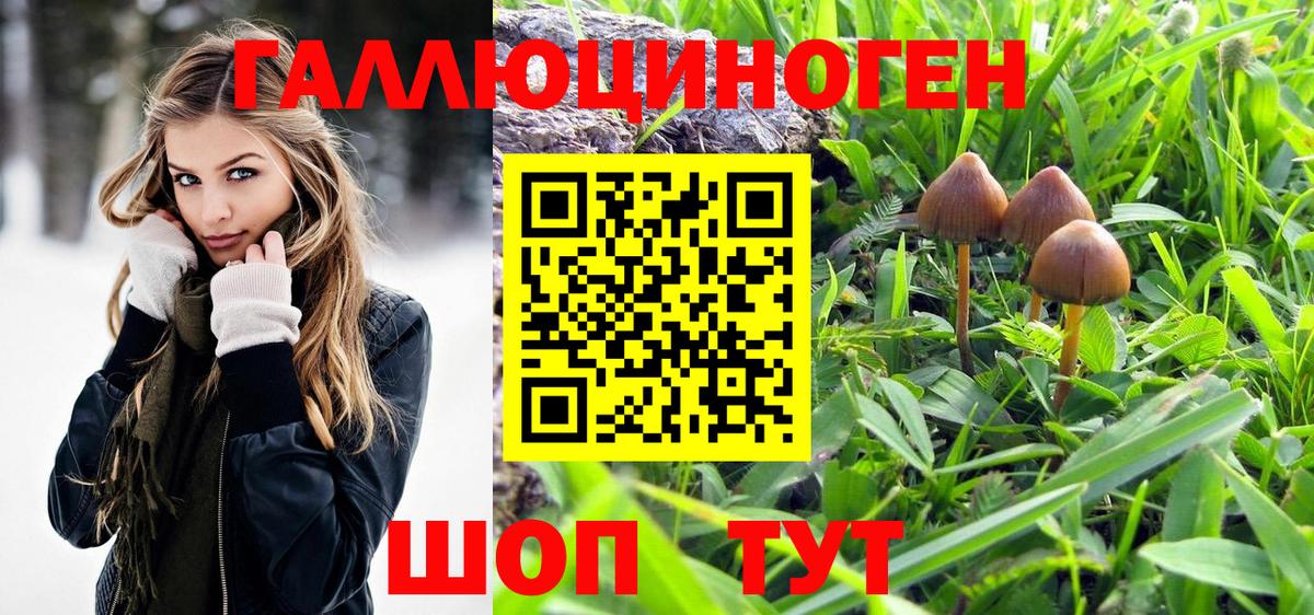 Псилоцибиновые грибы Cubensis Белорецк